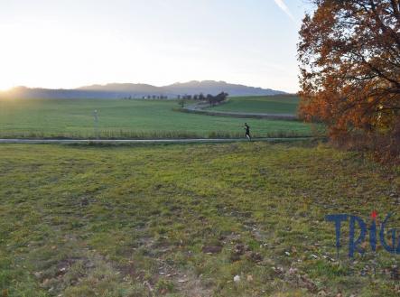 Prodej - pozemek, trvalý travní porost, 1 033 m²