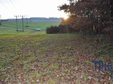 Prodej - pozemek, trvalý travní porost, 1 033 m²