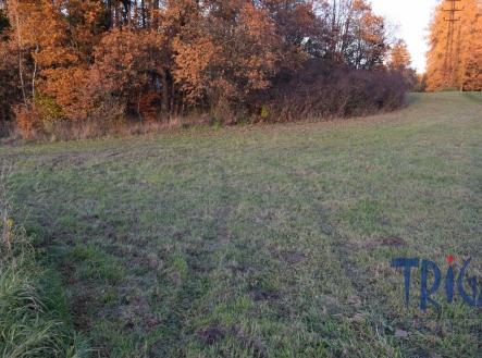 Prodej - pozemek, trvalý travní porost, 1 033 m²