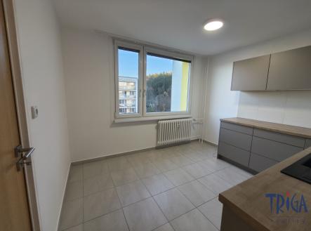 Pronájem bytu, 3+1, 68 m²