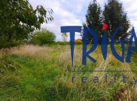 Prodej - pozemek pro bydlení, 2 066 m²