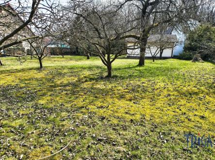 Prodej - dům/vila, 100 m²