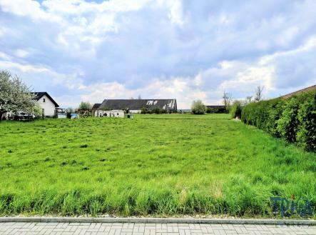 Prodej - pozemek pro bydlení, 1 686 m²