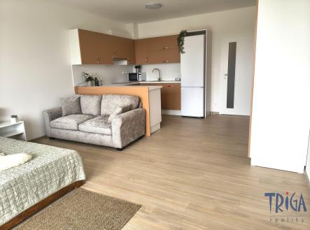 Pronájem bytu, 1+kk, 36 m²