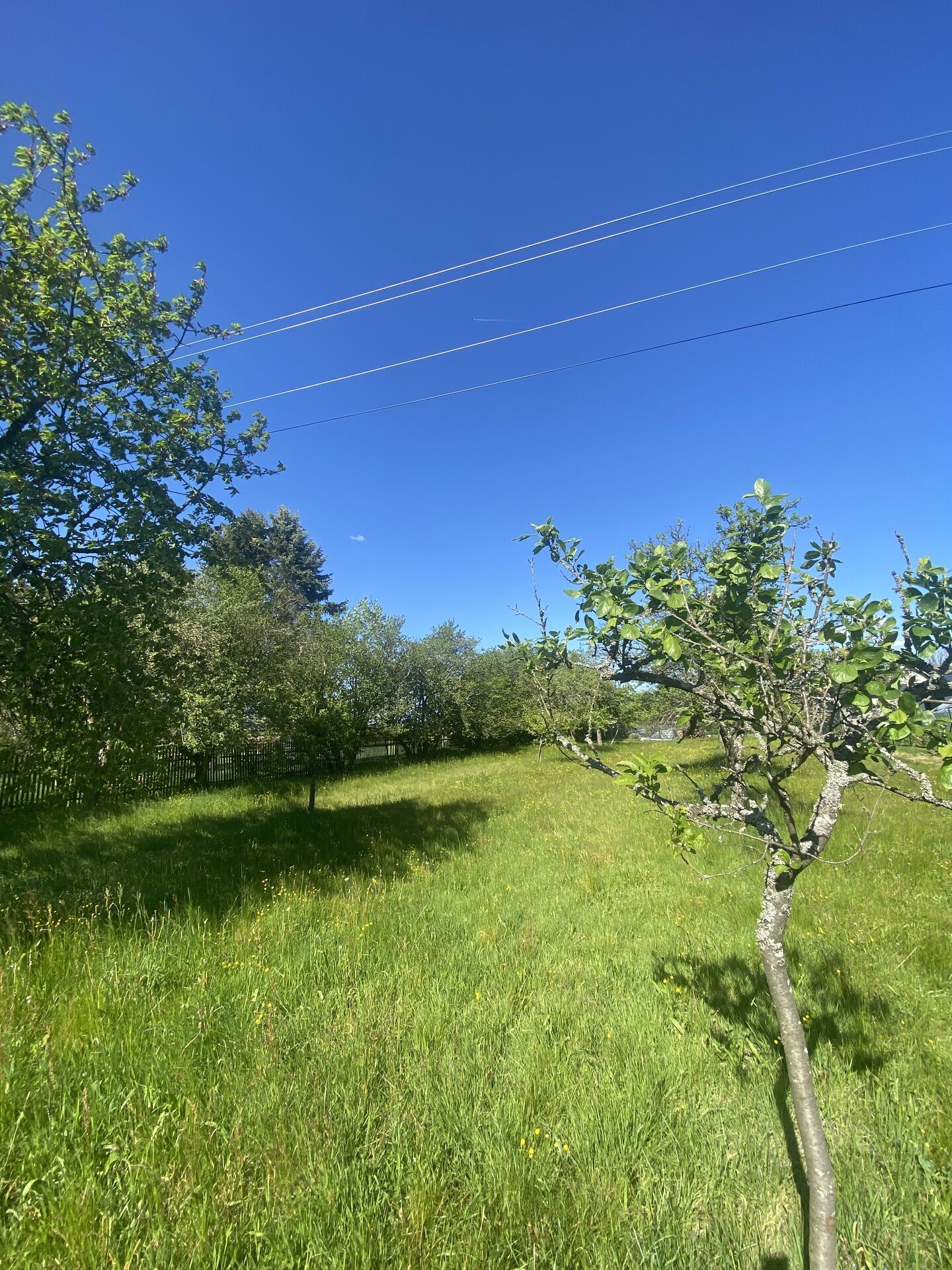 Prodej stavebního pozemku 1911 m2, Jindřichovice