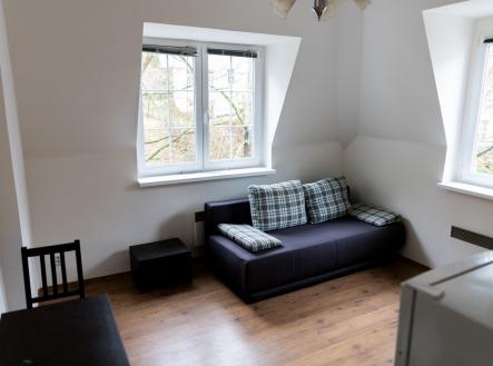 Pronájem bytu, 1+kk, 19 m²