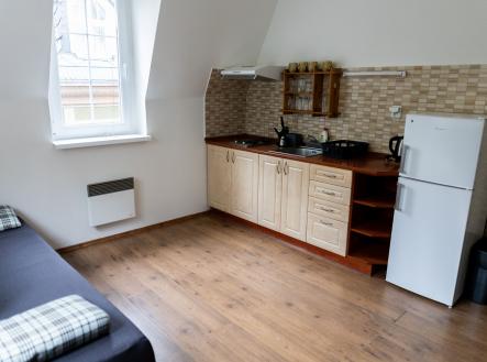 Pronájem bytu, 1+kk, 19 m²