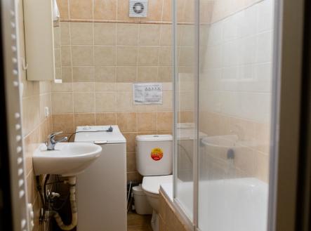 Pronájem bytu, 1+kk, 19 m²