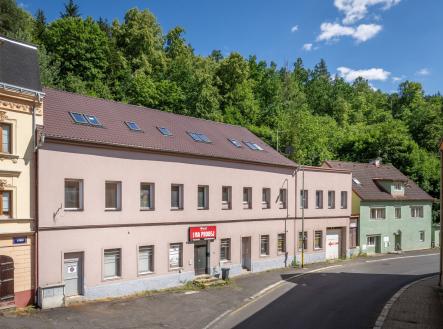 Prodej - dům/vila, 750 m²