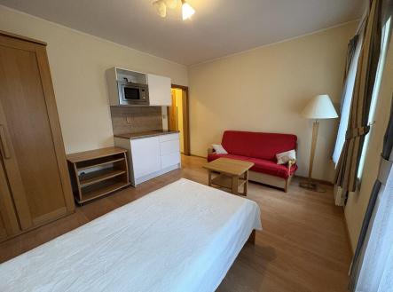 Pronájem bytu, 1+kk, 19 m² obrázek