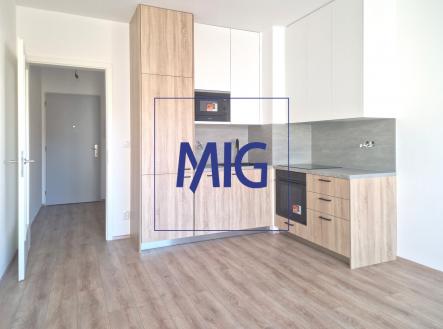 20250321_122940 | Pronájem bytu, 1+kk, 32 m²