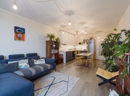 BrychtaJan_MIG_Zoubkova_20250221_101213_850_6349 | Prodej bytu, 3+kk, 86 m²
