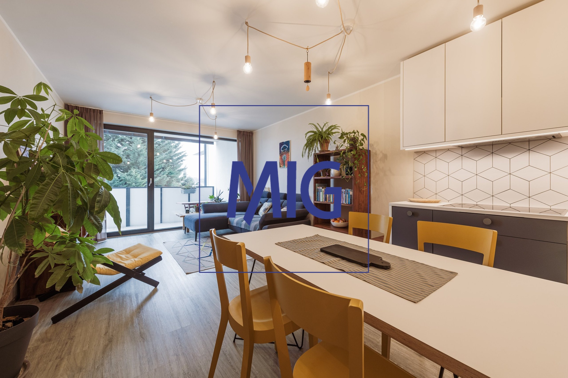 BrychtaJan_MIG_Zoubkova_20250221_101026_850_6341