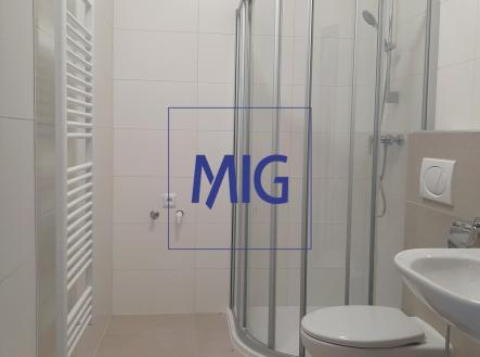20220927_145703 | Pronájem bytu, 1+kk, 37 m²