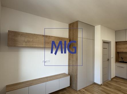 IMG_4278 | Pronájem bytu, 2+kk, 44 m²