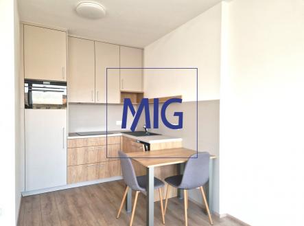 20260227_123738 | Pronájem bytu, 2+kk, 48 m²