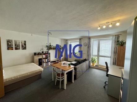 IMG_6151 | Pronájem bytu, 1+kk, 44 m²