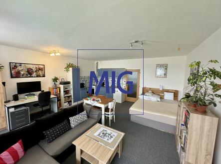 IMG_6154 | Pronájem bytu, 1+kk, 44 m²