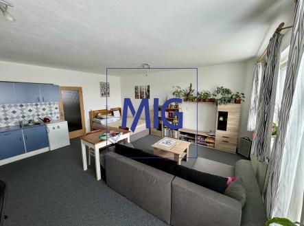 IMG_6166 | Pronájem bytu, 1+kk, 44 m²