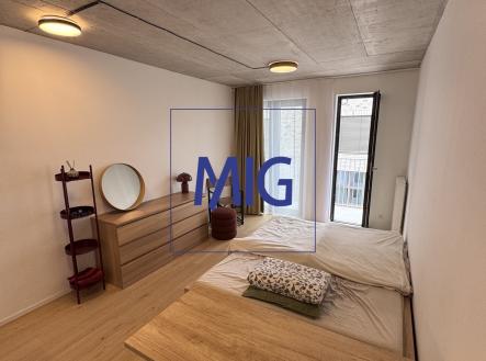 IMG_7041 | Pronájem bytu, 1+kk, 31 m²