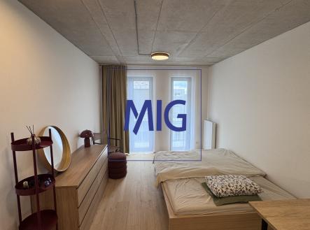 IMG_7051 | Pronájem bytu, 1+kk, 31 m²