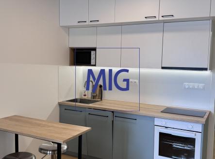 IMG_7037 | Pronájem bytu, 1+kk, 31 m²