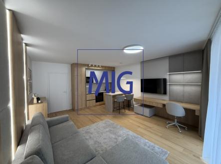 B57ABD64-77C0-4913-9CB4-2F633A5D4474_1_105_c | Pronájem bytu, 1+kk, 45 m²