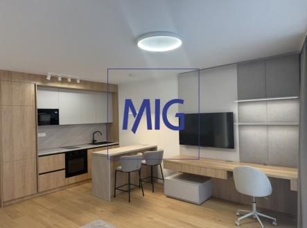 1B2FB760-4AEE-402A-B02A-4DBB6FDBF9B4_1_105_c | Pronájem bytu, 1+kk, 45 m²