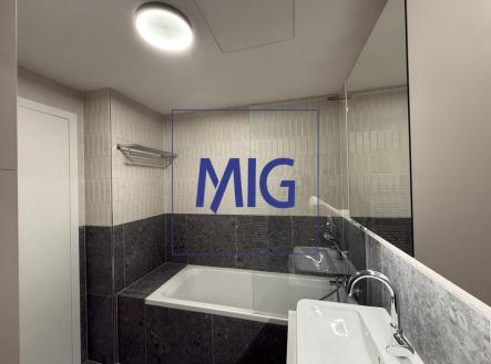 A9FE01BE-7E45-4FB8-8F69-FAB5DB777A21_1_105_c | Pronájem bytu, 1+kk, 45 m²