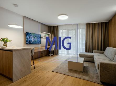 IMG-20260330-WA0005 | Pronájem bytu, 1+kk, 45 m²