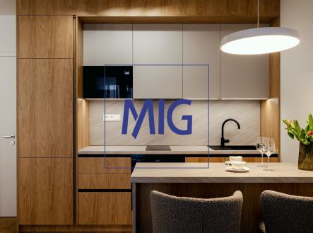 IMG-20260330-WA0020 | Pronájem bytu, 1+kk, 45 m²