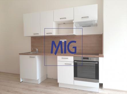 20230918_134744 | Pronájem bytu, 1+kk, 41 m²