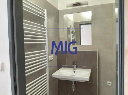 20230918_134833 | Pronájem bytu, 1+kk, 41 m²