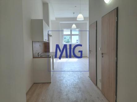 20230918_134635 | Pronájem bytu, 1+kk, 41 m²