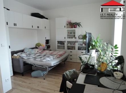 DSCN9752 | Prodej bytu, 1+kk, 28 m²