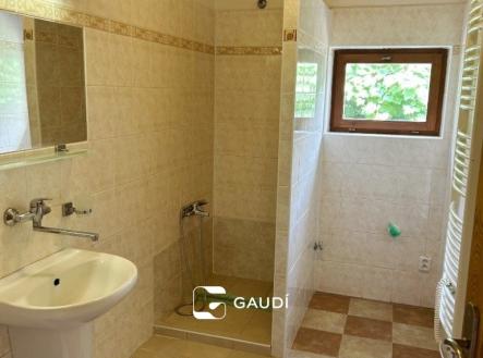 koupelna se sprchovým koutem, místo pro pračku | Pronájem - dům/vila, 60 m²