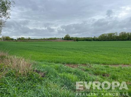 . | Prodej - pozemek, zemědělská půda, 66 333 m²