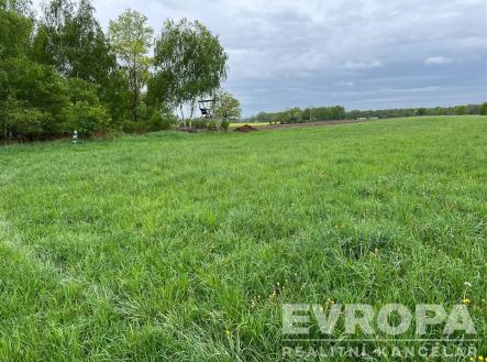 . | Prodej - pozemek, zemědělská půda, 66 333 m²