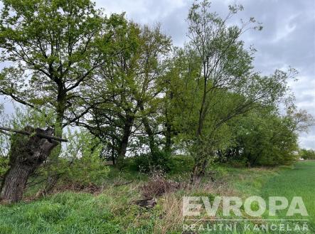 . | Prodej - pozemek, zemědělská půda, 66 333 m²