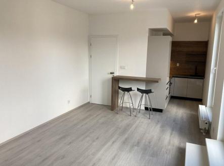 Pronájem bytu, 1+kk, 34 m²