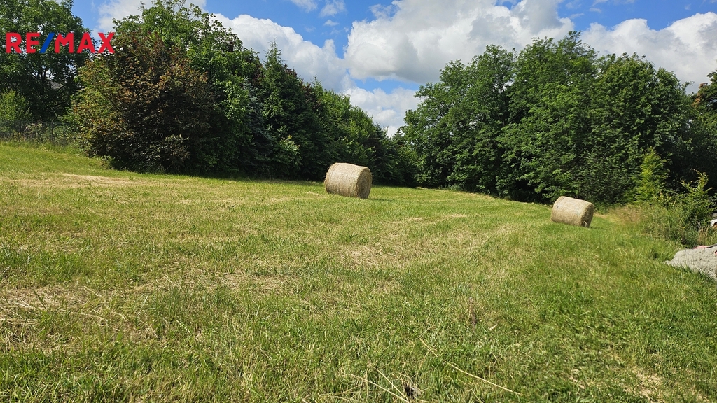 20250620-101043.jpg