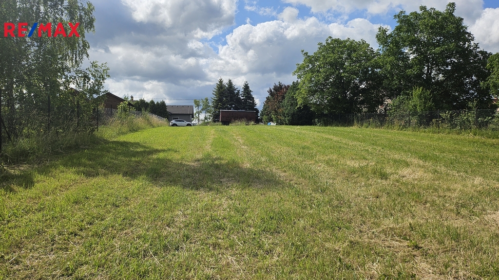 20250620-101113.jpg