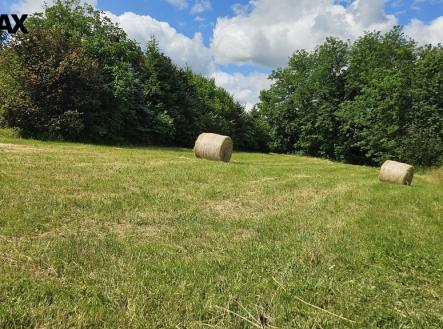 20250620-101043.jpg | Prodej - pozemek pro bydlení, 2 326 m²