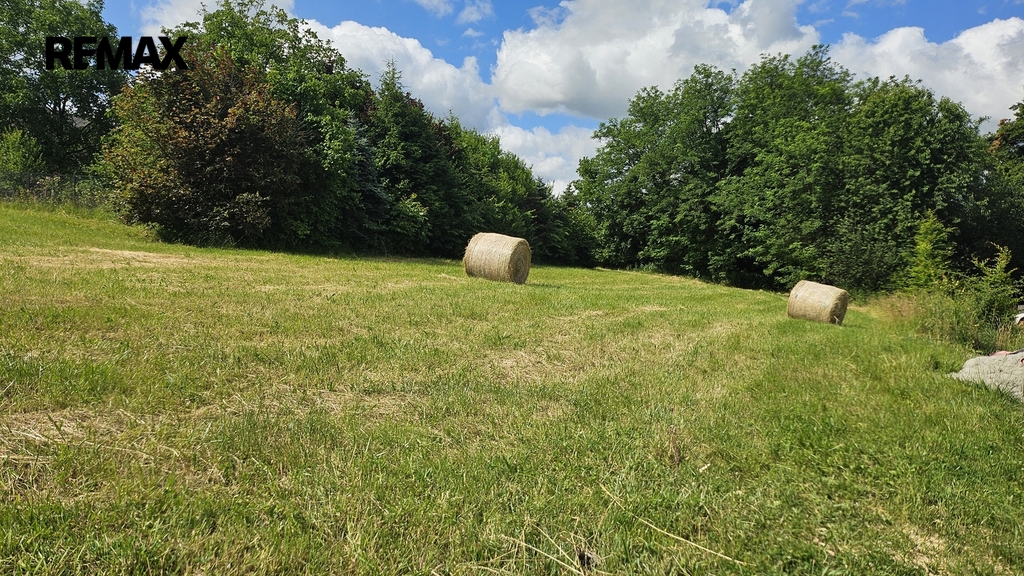 20250620-101043.jpg