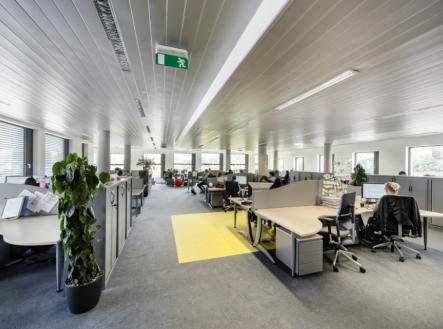 Pronájem - kanceláře, 1 055 m²