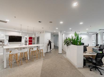 Pronájem - kanceláře, 335 m²