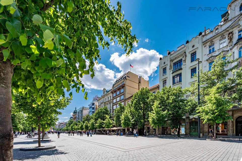 Pronájem luxusního prostoru 168 m2 Václavské náměstí