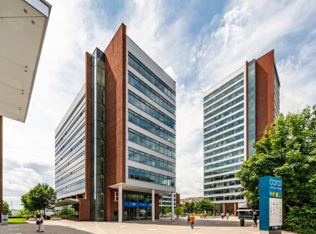 Pronájem - kanceláře, 173 m²