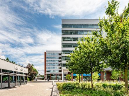 Pronájem - kanceláře, 173 m²