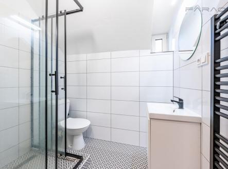 Prodej - dům/vila, 550 m²